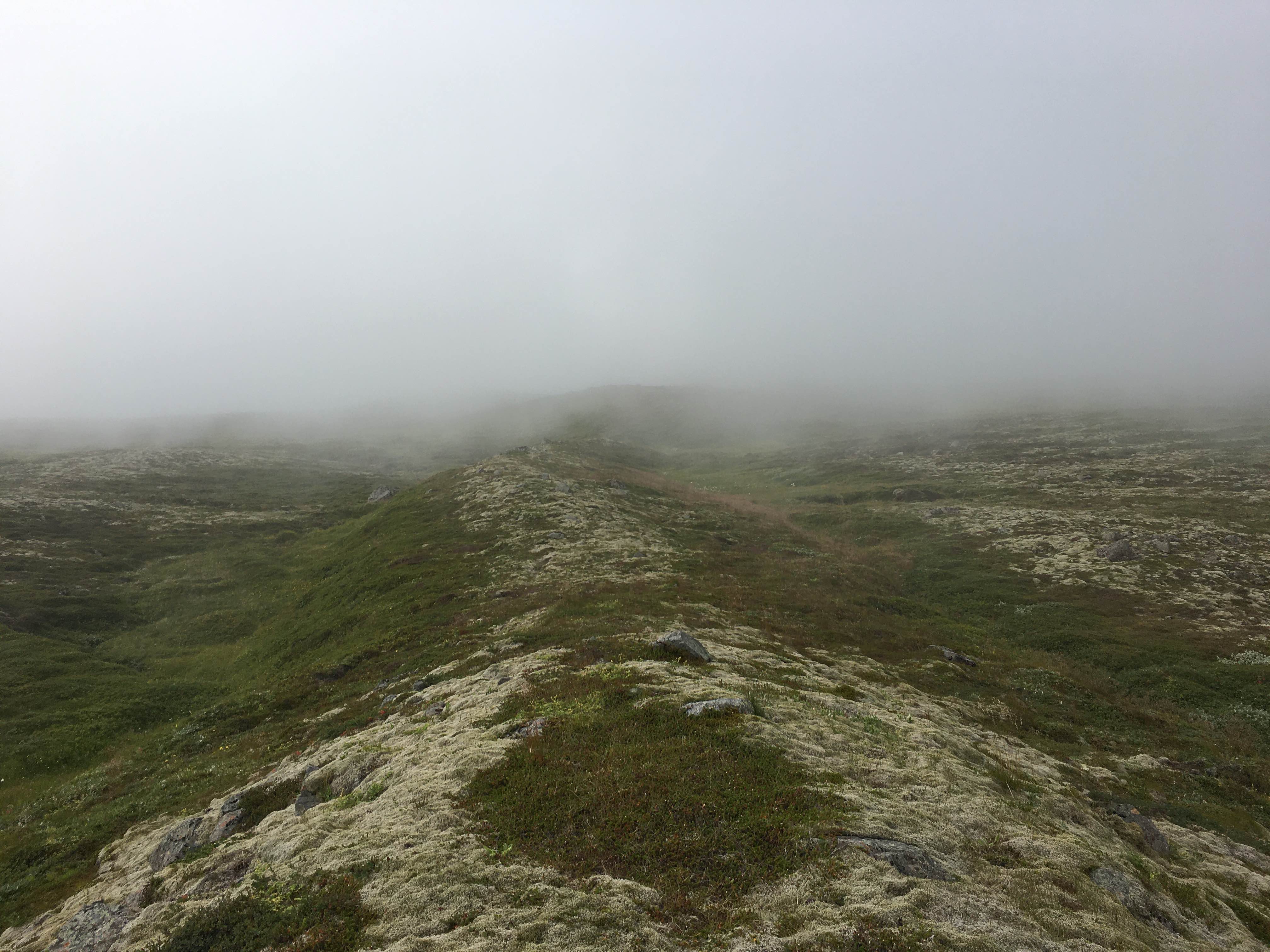 Landscape photograph from Iceland with the ground dissolving into fog in the background